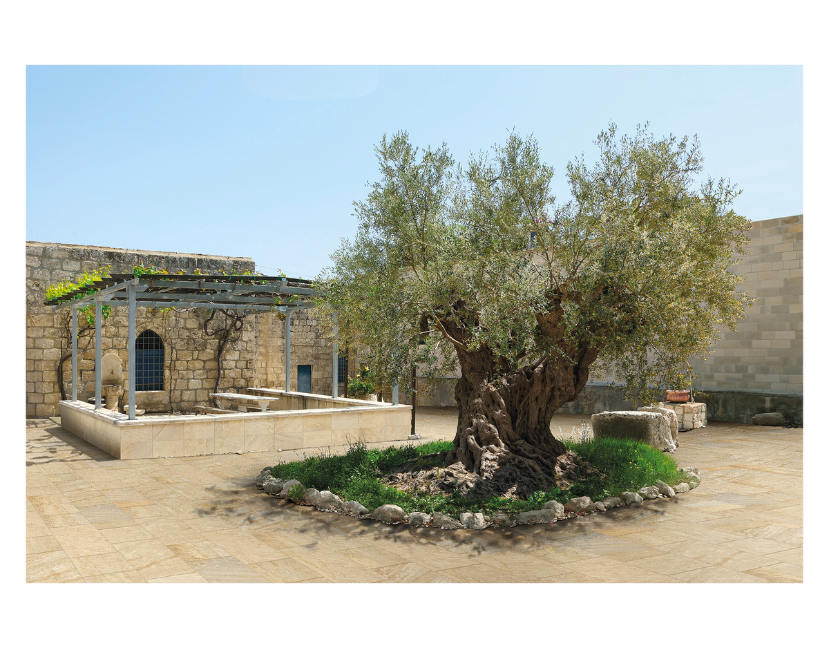 Outdoor Cream 30x60 R11 Ceramica Euro