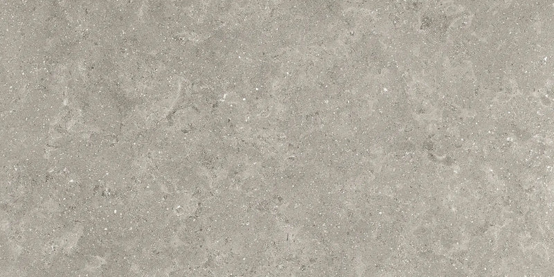 LIMESTONE ENGLISH GREY LAPPATO RETTIFICATO 30X60 - CERAMICHE PIEMME