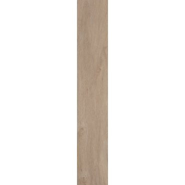 Leccio Gentile 10X40 R10 I Lecci Serenissima