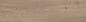 FOREST GREIGE RETT 20X120 SC.1 MGM