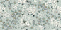 C.ART 2.0 FLORAL BREEZE 60X120 SC.1 MGM
