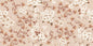 C.ART 2.0 FLORAL FLAME 60X120 SC.1 MGM