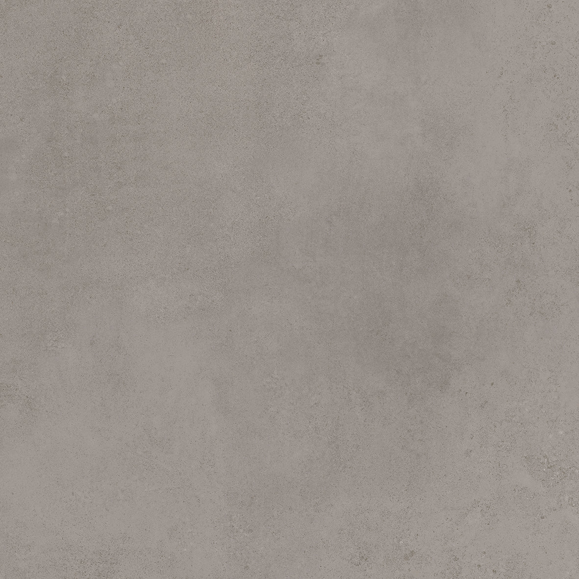 Absolute Grey 60x60 Rettificato Ceramiche Mariner