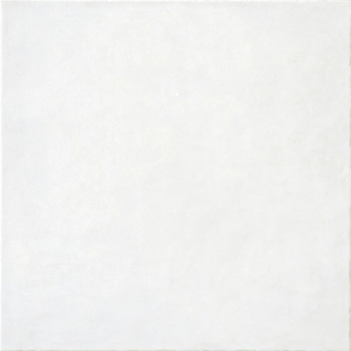 Antiche Riggiole Napoletane Perla 22x22 Savoia Italia