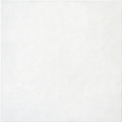 Antiche Riggiole Napoletane Perla 22x22 Savoia Italia