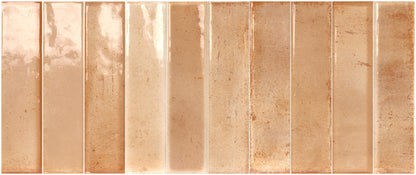 Artisan Cipria 25x60 Bordo Nat. Lucido Savoia Italia