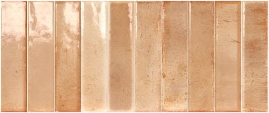 Artisan Cipria 25x60 Bordo Nat. Lucido Savoia Italia