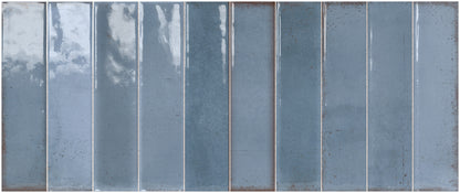 Artisan Blu 25x60 Bordo Nat. Lucido Savoia Italia