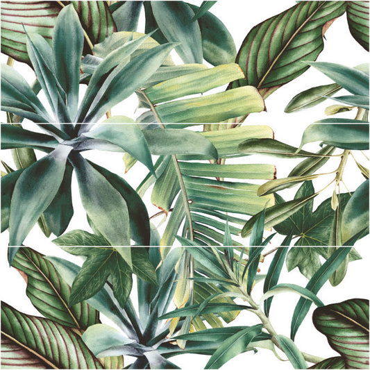 Botanical Green Savage 25x75 Bordo Nat. Lucido/Matt Savoia Italia