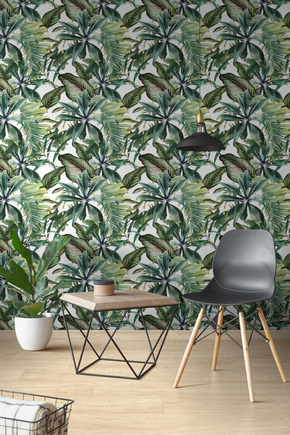 Botanical Green Savage 25x75 Bordo Nat. Lucido/Matt Savoia Italia