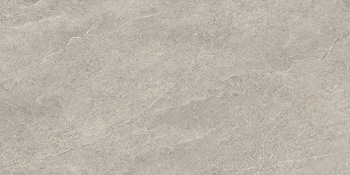 Elysium Grey 60x120 R11 Rettificato Ceramica Euro