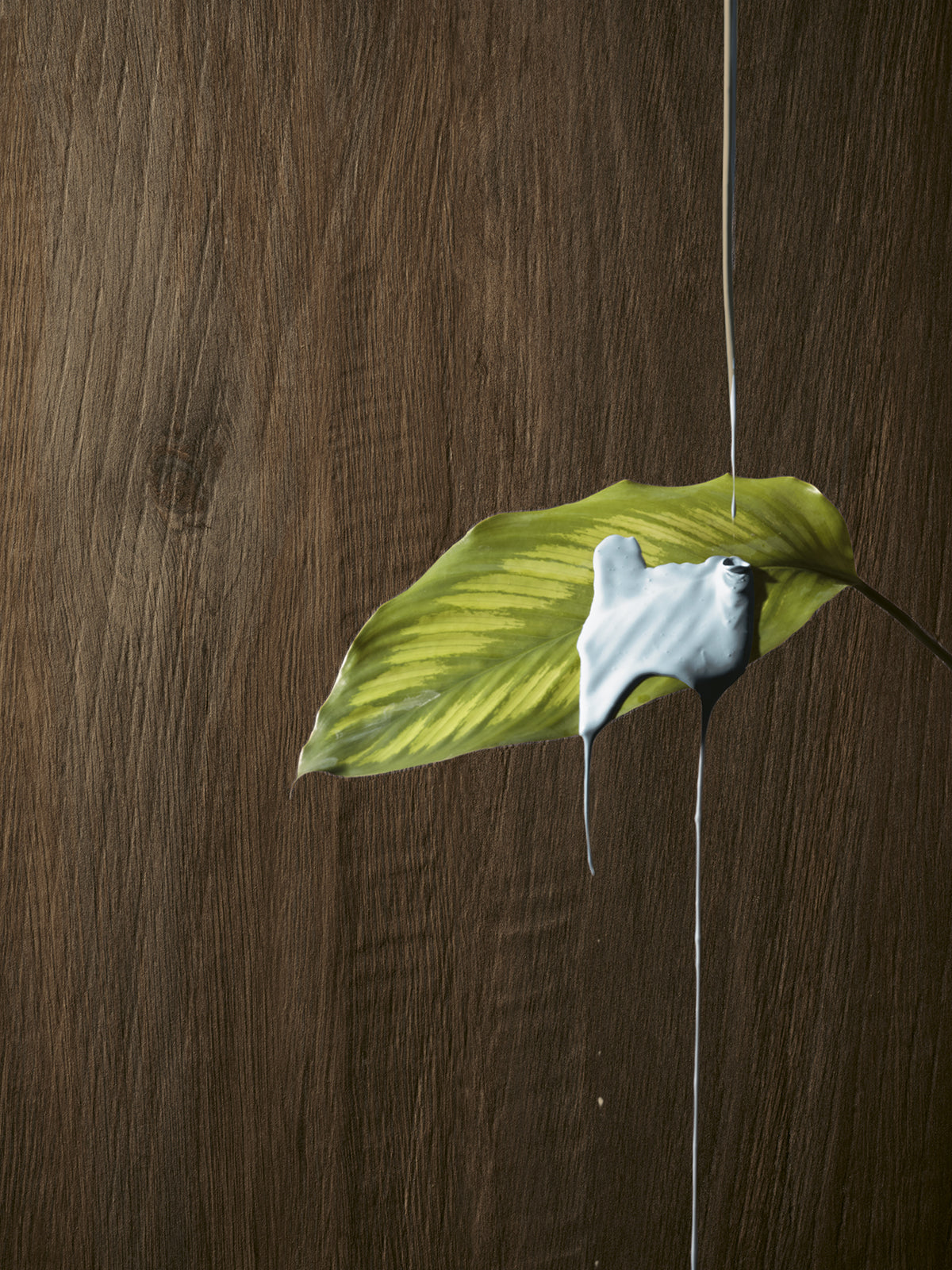 Leccio Verniciato 20×120 cm Rettificato R11 Gres Porcellanato Effetto Legno I Lecci Serenissima