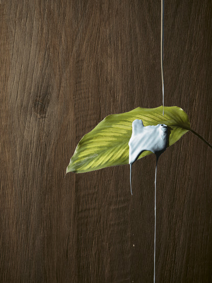 Leccio Verniciato 20×120 cm Rettificato R11 Gres Porcellanato Effetto Legno I Lecci Serenissima
