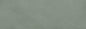 Blossom Menta 33,3x100 Rettificato Matt Savoia Italia
