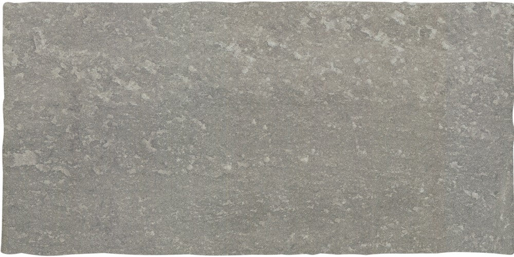 Quartz Beige 21,6x43,5 Savoie