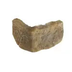 ANGOLO ROCCIA ANTICA GRIGIO OCRA PRIMICERI