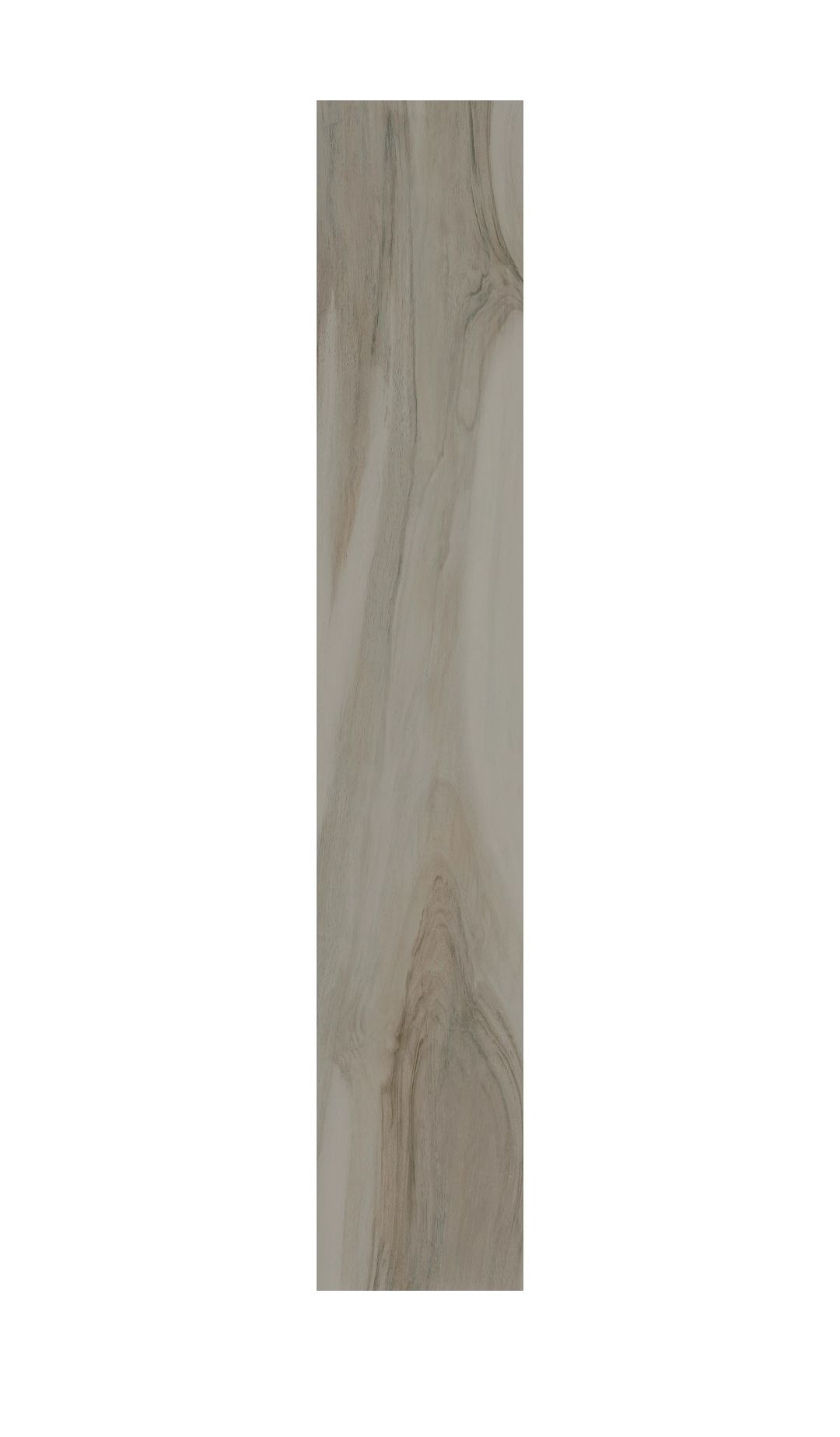 Amazonia Gris 15x60 Savoia Italie