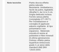 Piatto doccia Linea Emotion 80x140 Mod.Euphoria rettangolare grigio 7037