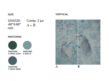 Showall Fenice 60x120 Serenissima