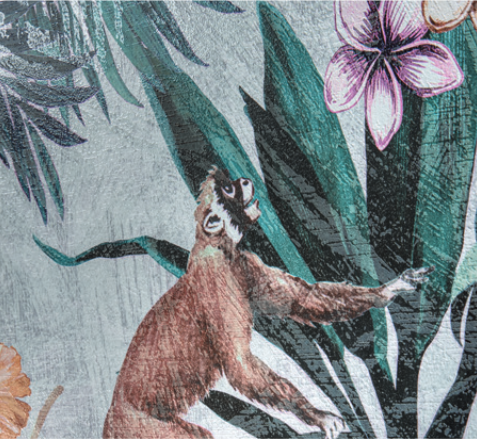 Showall Monkey 60x120 Serenissima