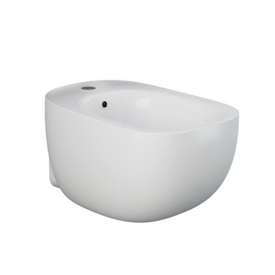 Illusion Bidet sospeso fissaggio nascosto erogazione rubinetto  Rak