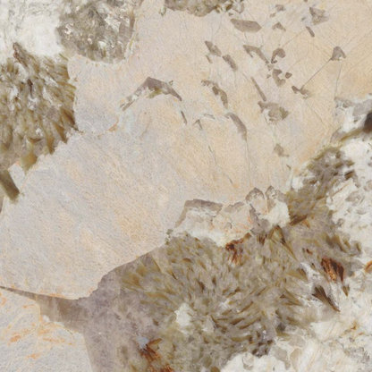 Sensi Nuance Patagonia Wow Lux 3D 60x120 Abk Group