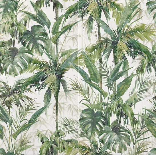 Showall Tropical 60x120 Serenissima