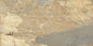 Ocean Zeera Natural 30x60 Bordo Nat. Antislip R11 Savoia Italia