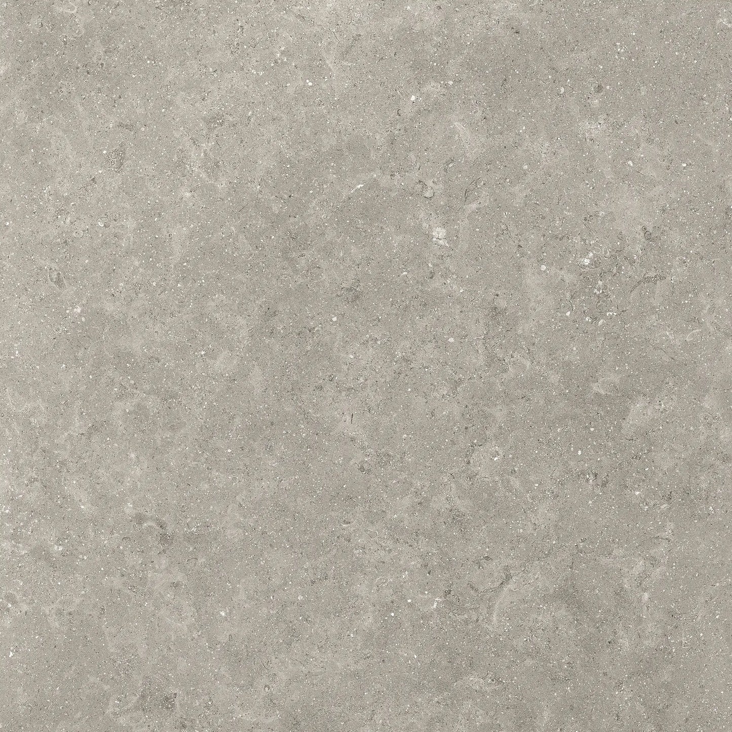 LIMESTONE ENGLISH GREY LAPPATO RETTIFICATO 60X60 - CERAMICHE PIEMME