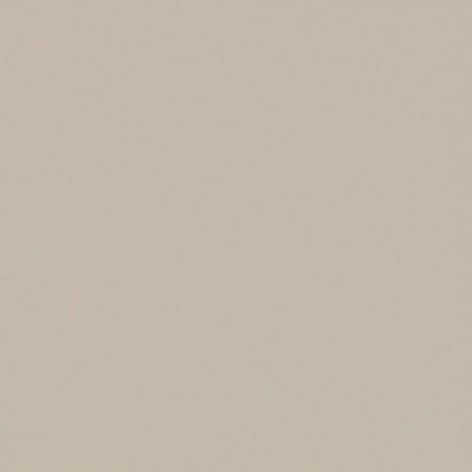 FOREVER COLOR MATTE FINISH BEIGE 20X20 CIR CERAMICHE