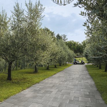 Reggio Nell'Emilia Due Maesta' 20X20 R11 Cir Ceramiche