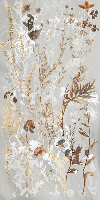 Showall Natura Prato Freddo 60x120 Savoia Italia
