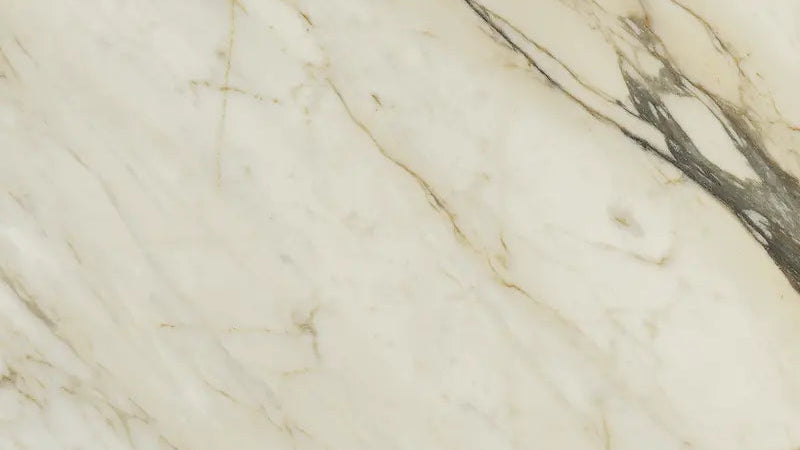 Palazzo Calacatta Dorato 30x60 Silk Rettificato Serenissima