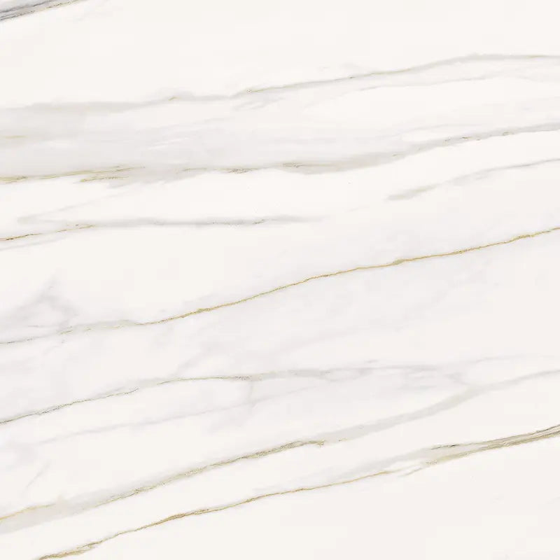 Palazzo Fiorentino 120x120 Silk Rettificato Serenissima