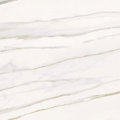 Palazzo Fiorentino 120x120 Silk Rettificato Serenissima