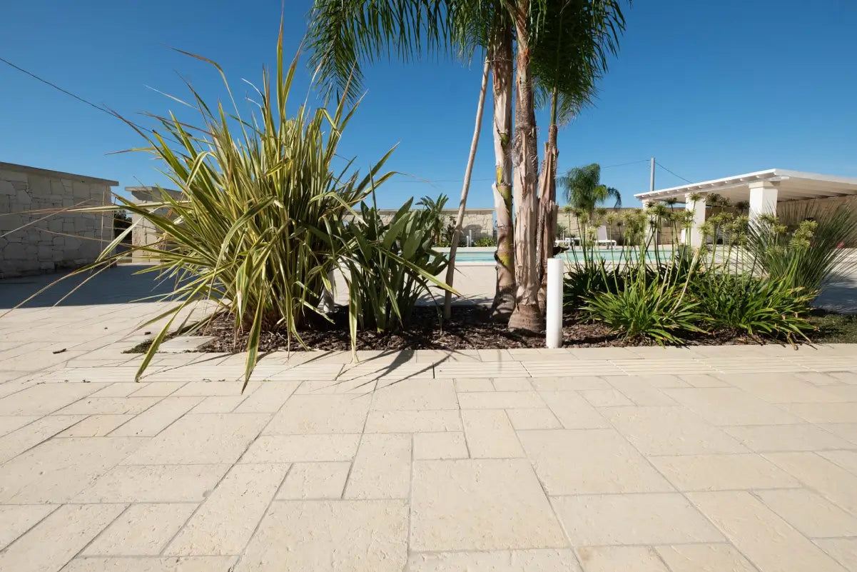 ACAYA BIANCO 56,5X38 PRIMICERI