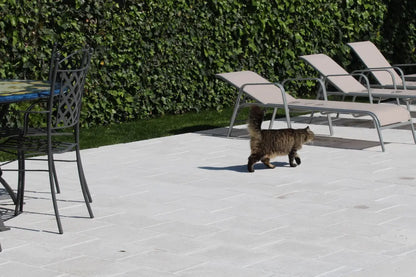 VECCHIA CHIANCA BIANCO PRIMICERI