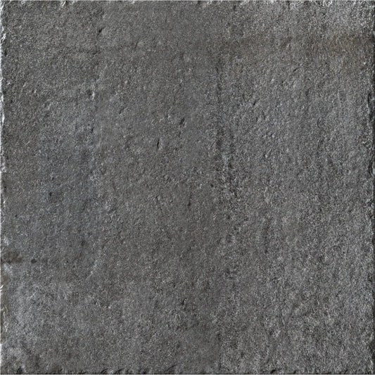 Reggio Nell'Emilia Pieve 40X60,8 R11 Cir Ceramiche